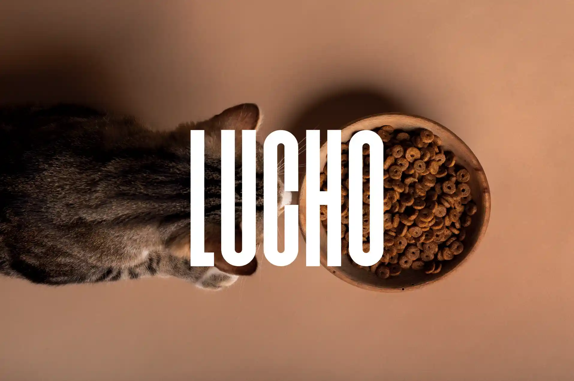 mise en situation du logo